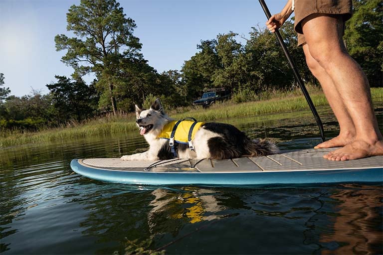 A man and a dog are on a paddleboard.